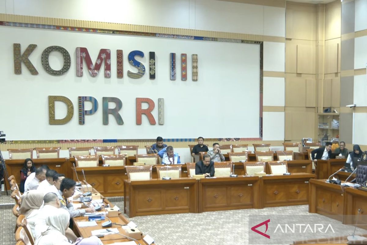 Ibu kandung NS ingin keadilan setimpal, Komisi III pastikan "all out"