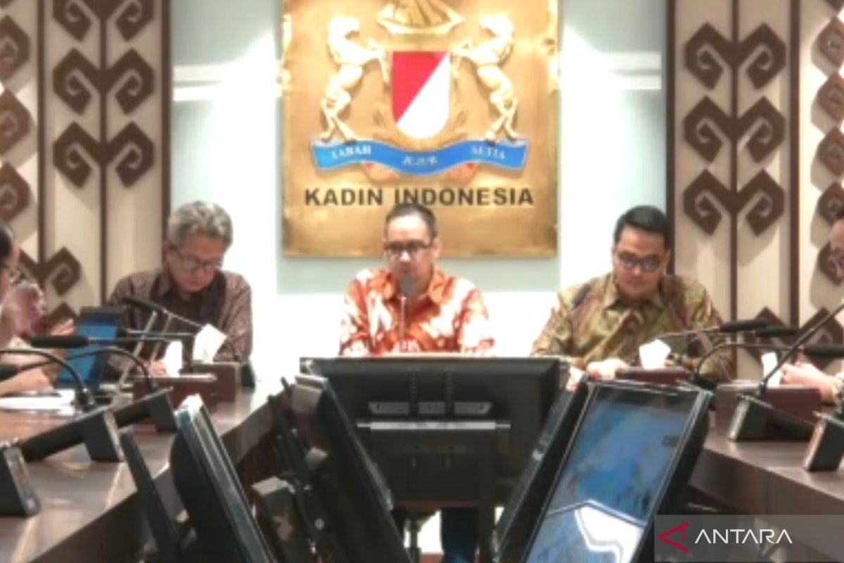 Kadin sebut regulasi perlu memberi ruang tumbuh ekonomi digital