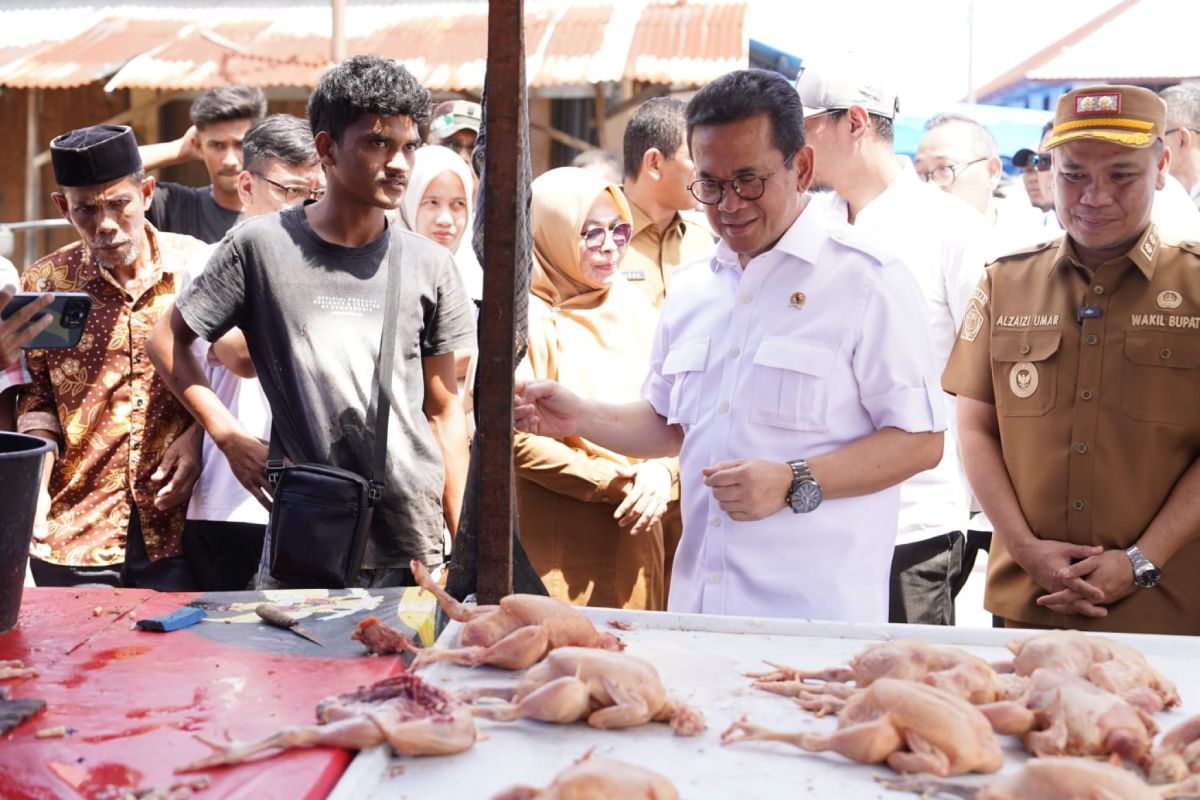 Mendag: Perdagangan telah kembali berjalan di Pidie Aceh