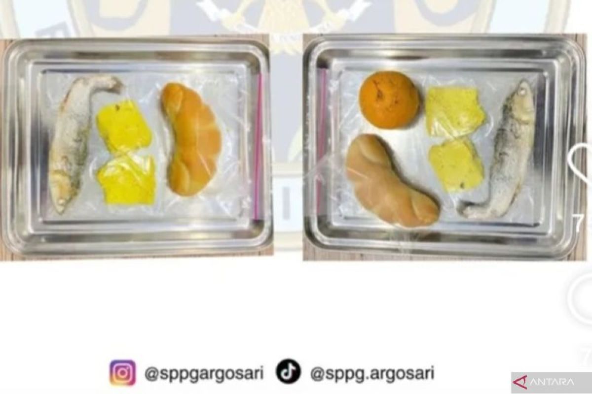 Viral MBG bandeng mentah di Bantul, BGN pastikan ikan presto matang