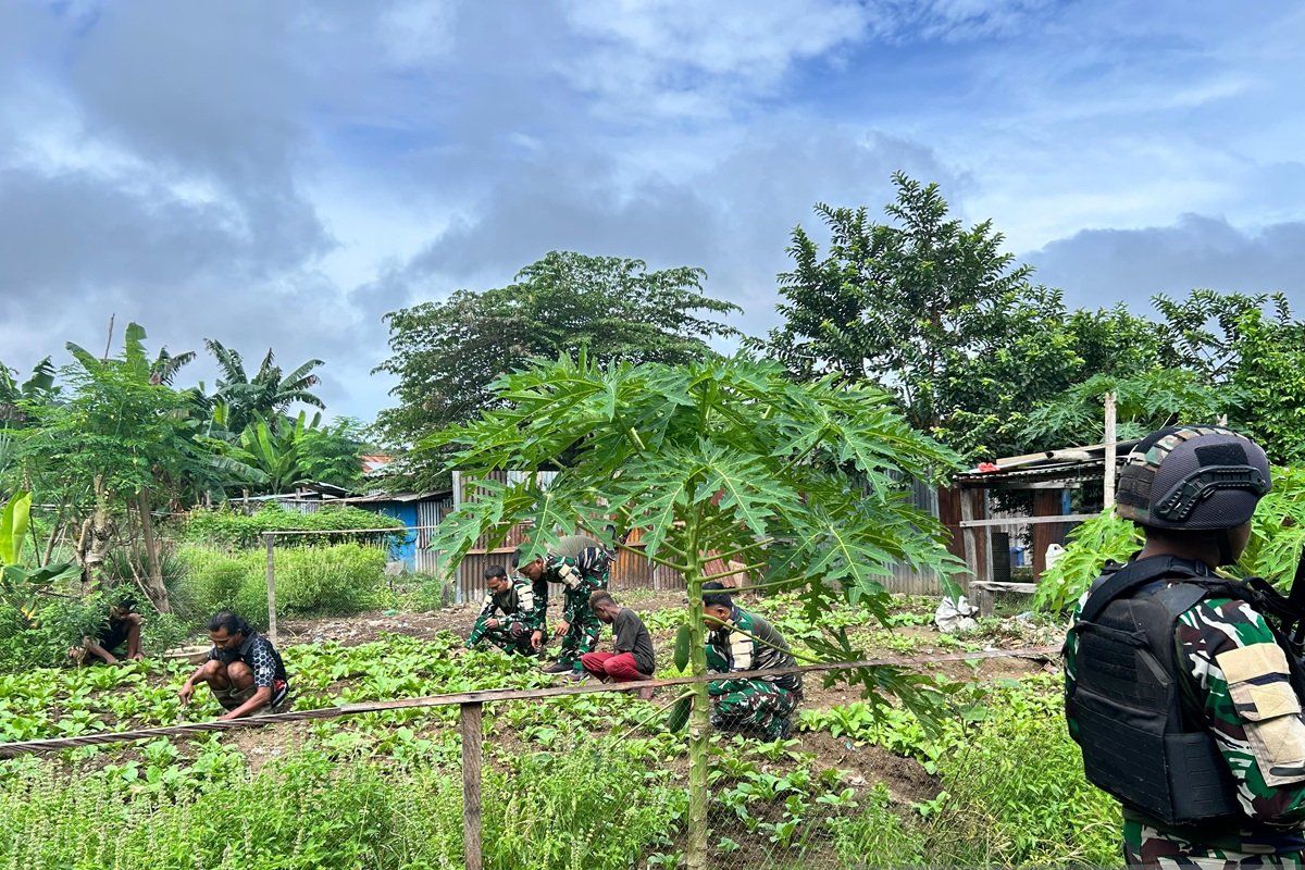 Prajurit Satgas Yonif 511 bantu pengembangan lahan pertanian warga OAP