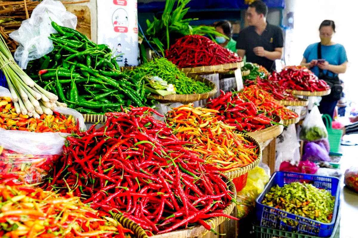 Bapanas gandeng petani-pedagang hingga Satgas jaga stabilitas cabai