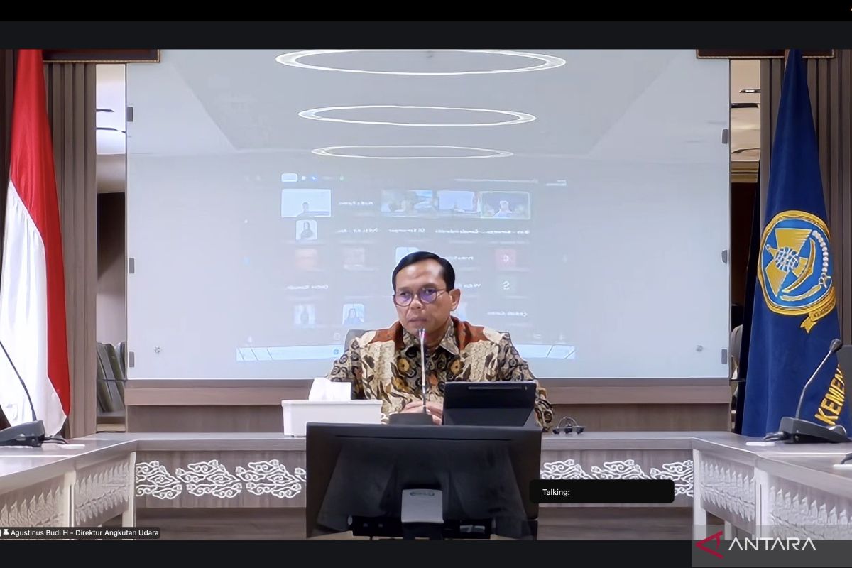 Kemenhub: Tiket pesawat mahal akibat penerbangan tidak langsung