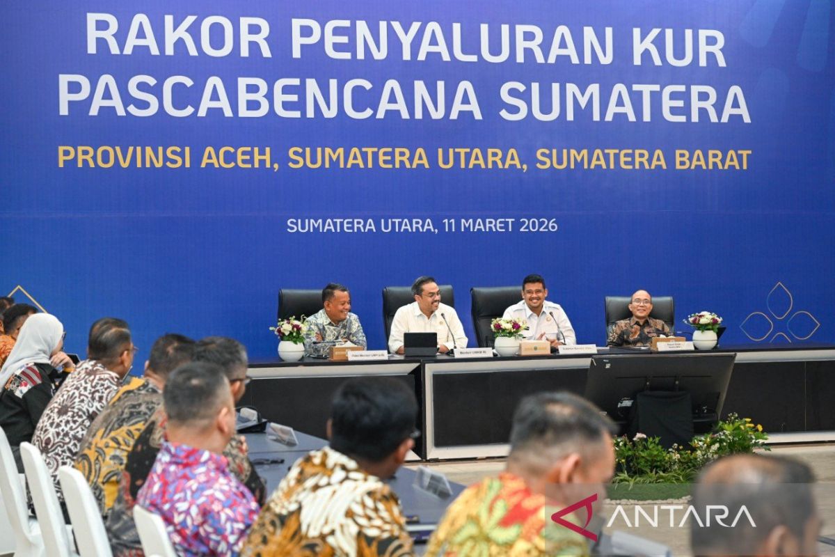 Menteri UMKM: pemerintah berikan program pemulihan usaha tiga provinsi