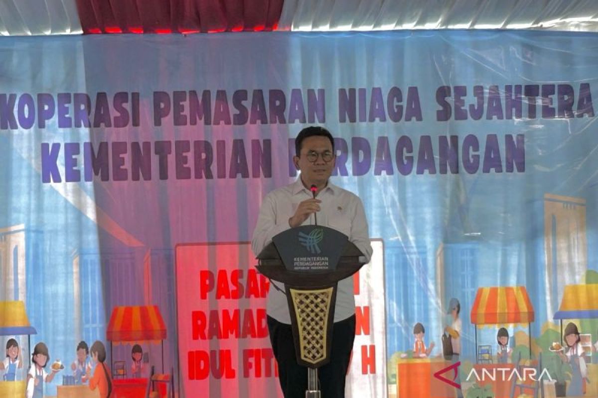 Harga ayam sempat tembus Rp45 ribu, Mendag: Rata-rata nasional stabil