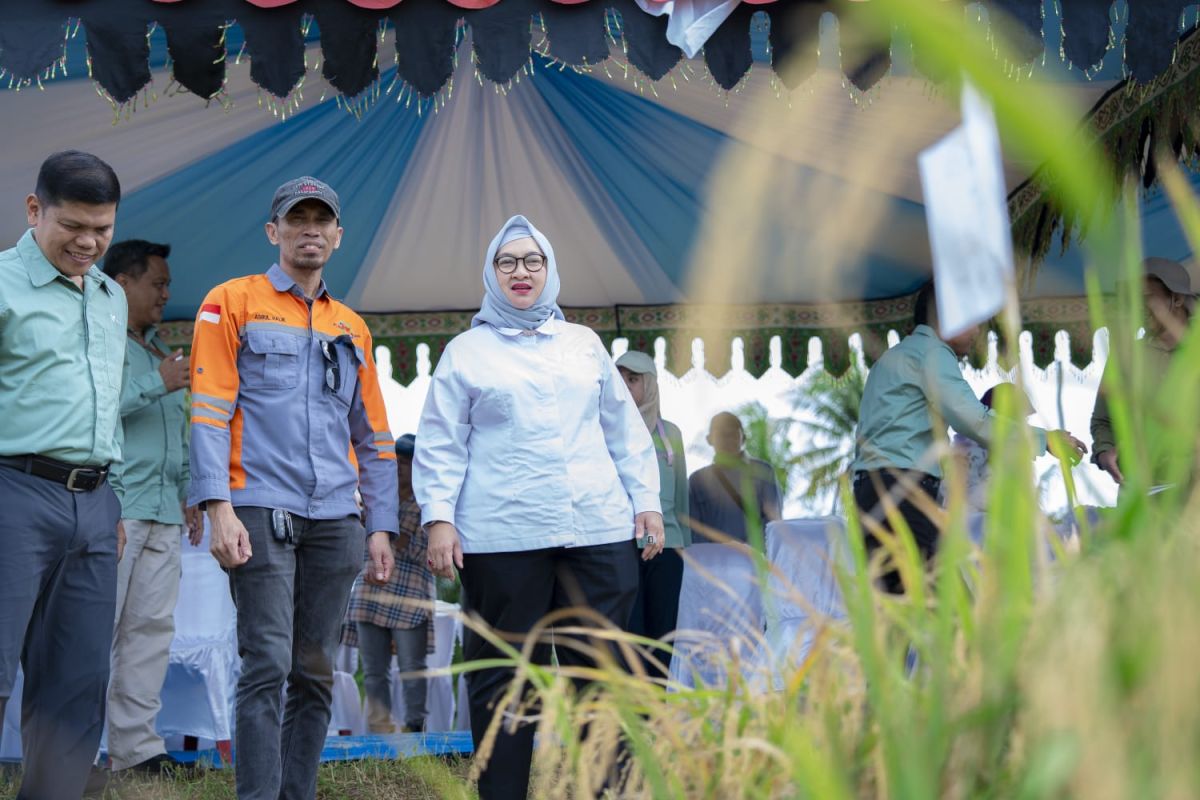 Kemenko Pangan harap Kolaka jadi lumbung pangan di Sultra