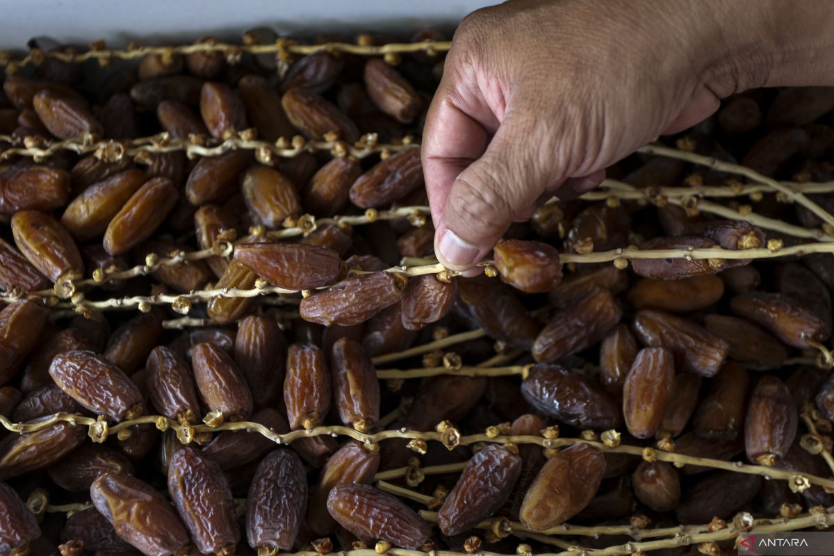 Gejala awal TBC hingga waktu makan kurma yang baik