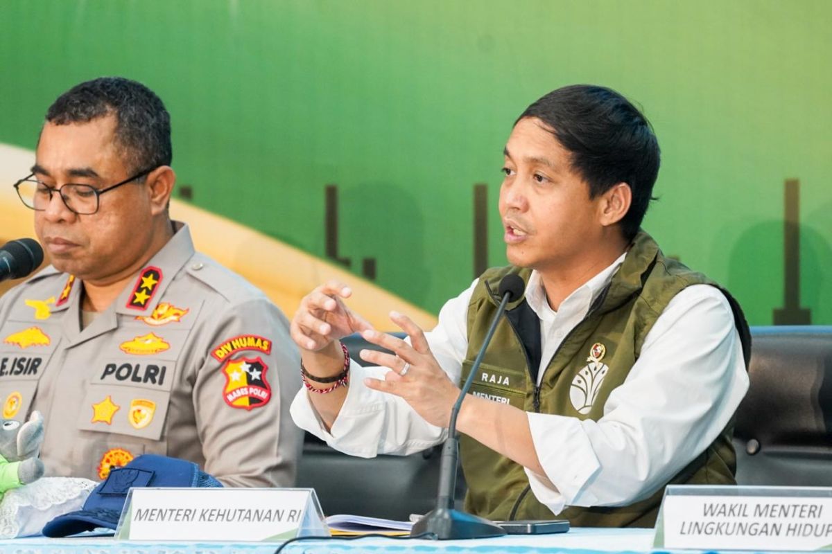 Menhut tegaskan hukuman berat bagi pemburu Gajah Sumatera