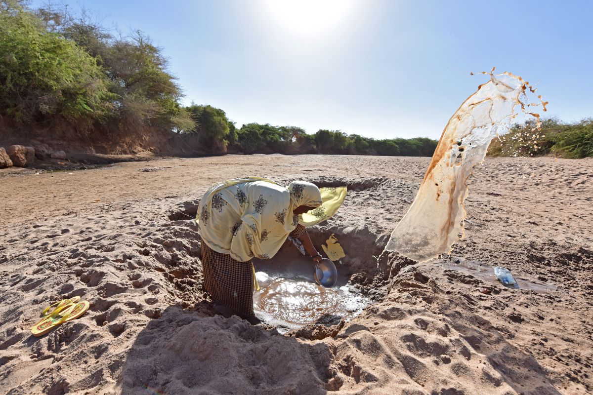 PBB: Sepertiga warga Somalia hadapi kelaparan kritis pada Maret