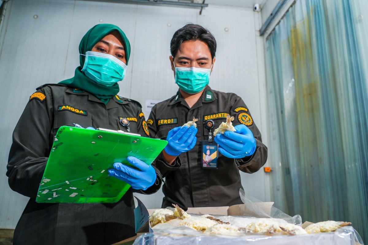 Barantin siagakan 3.930 personel awasi pangan selama Ramadhan