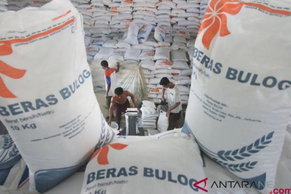 Bapanas proyeksikan ketersediaan beras nasional tembus 47 juta ton