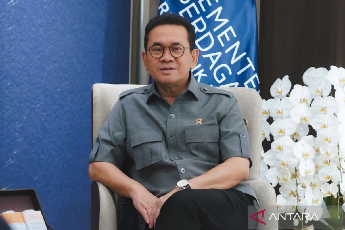 RI desak Uni Eropa implementasikan putusan WTO soal sengketa sawit