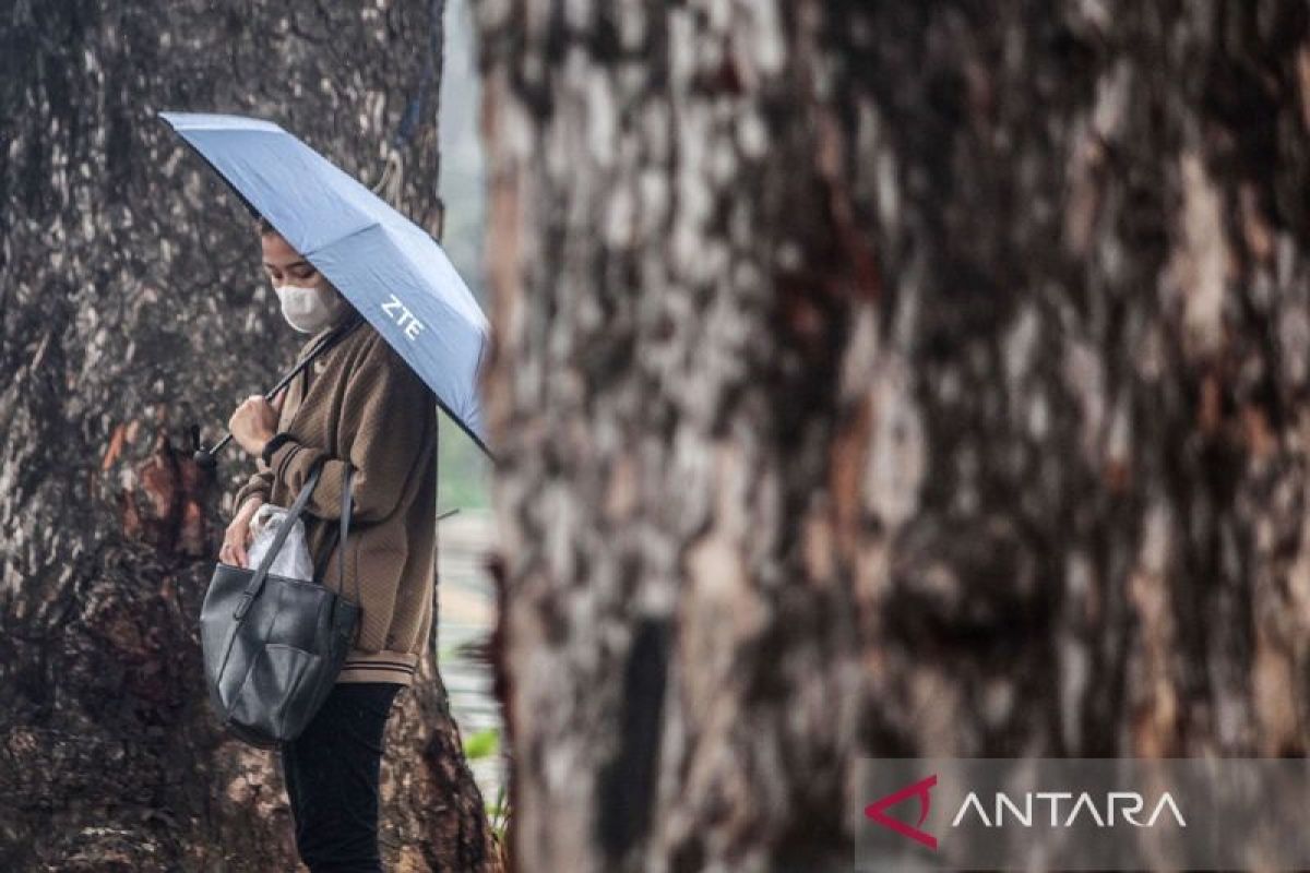BMKG: Langit RI didominasi hujan ringan-hujan petir pada Senin