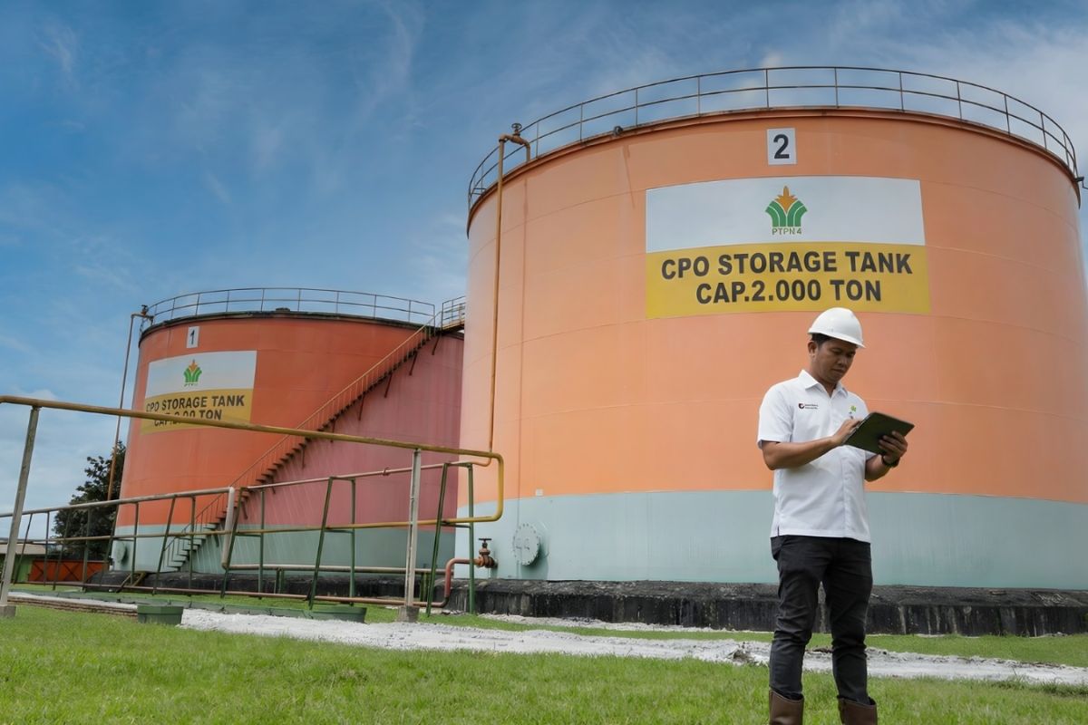 99 persen CPO PalmCo terserap domestik, sertifikasi tetap dikejar
