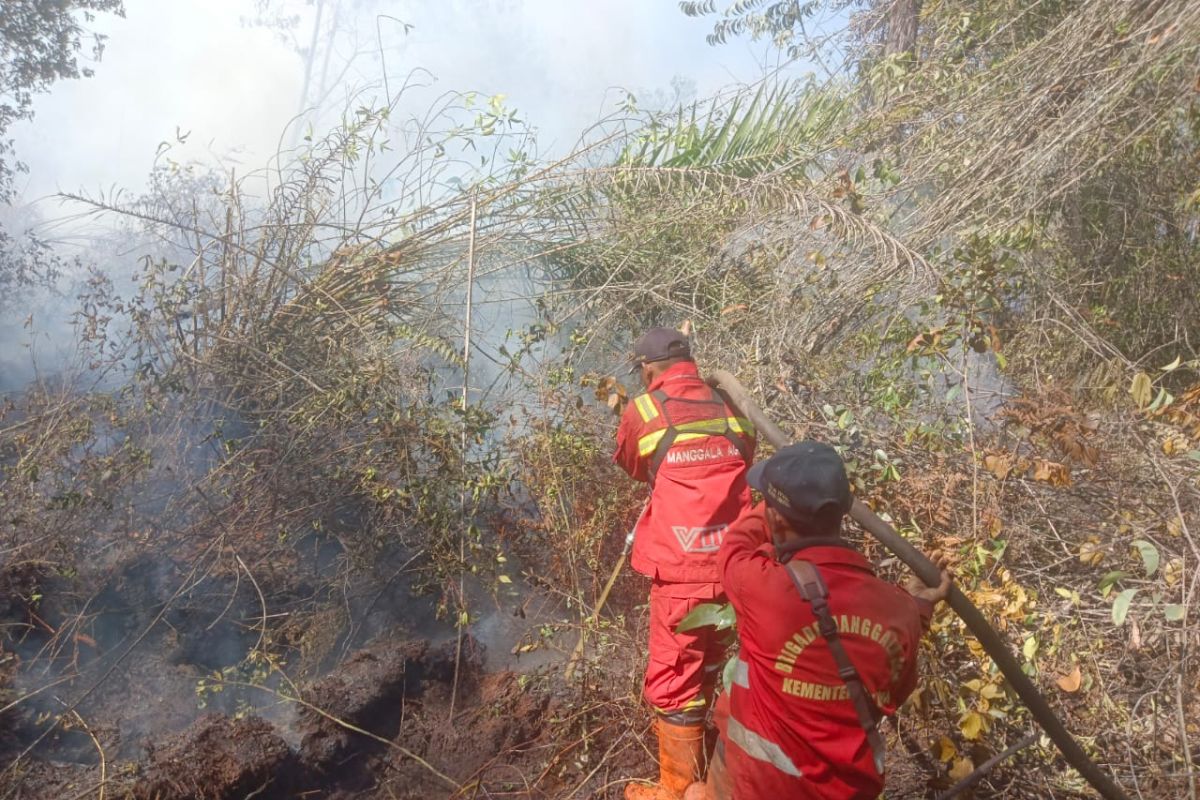 Kemenhut kerahkan 240 personel Manggala Agni padamkan karhutla di Riau