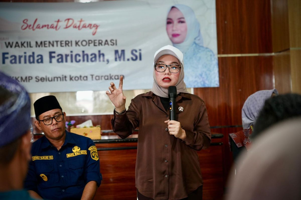 Wamenkop tegaskan pengelolaan Kopdes harus profesional dan transparan