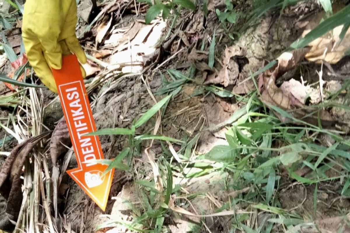 Polisi Karawang selidiki temuan mayat wanita misterius di kawasan KJIE