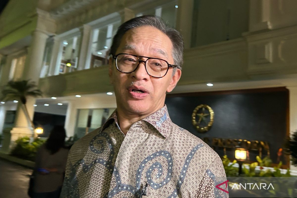 Marty menilai wajar jika ada persepsi BoP akan jadi tandingan PBB