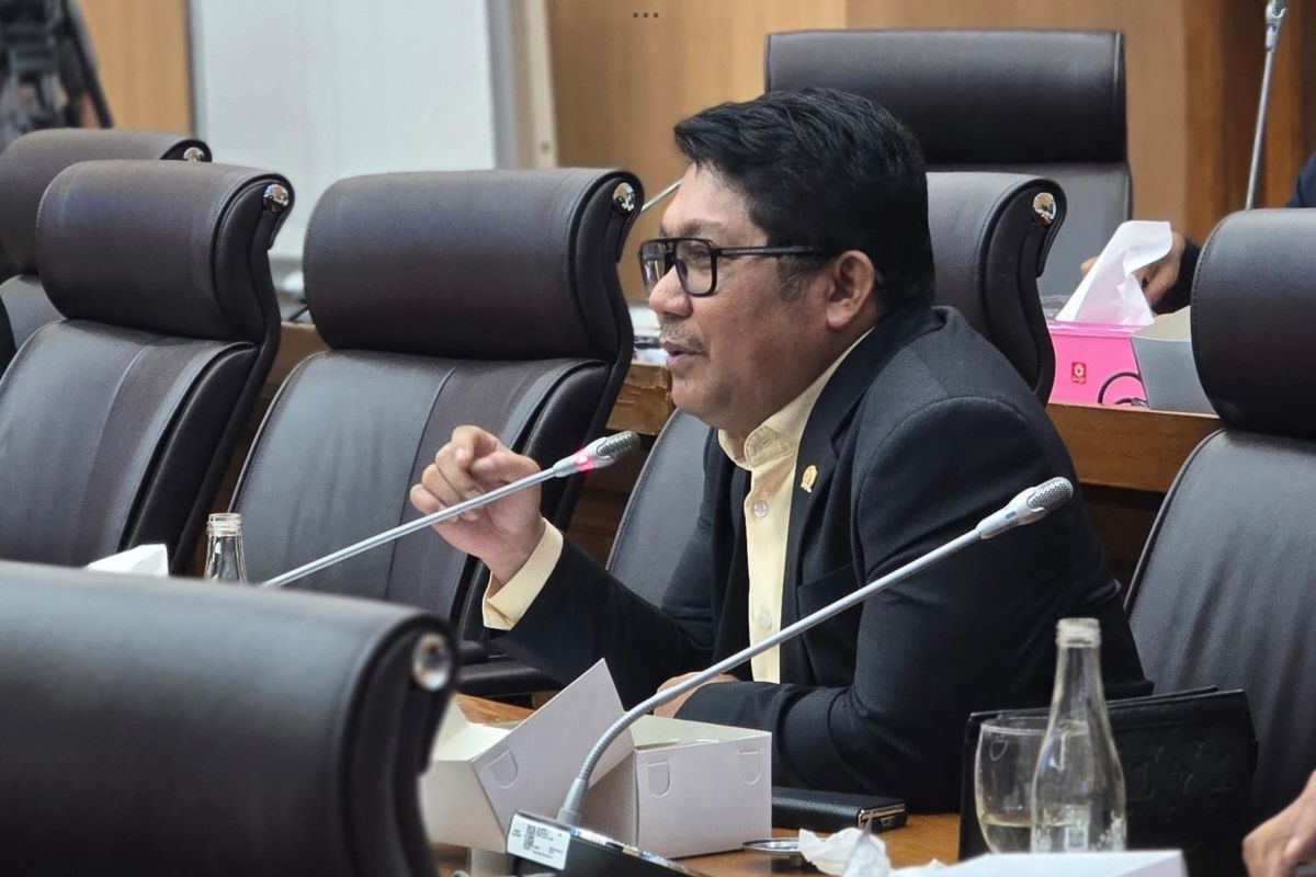Anggota DPR: Penguatan tata kelola nikel jaga daya saing nasional