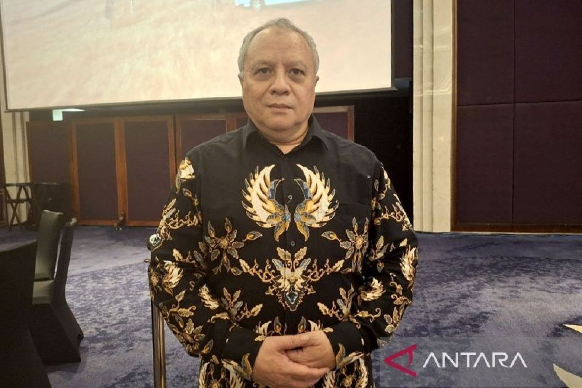 Teuku Rezasyah: D8 bisa berkontribusi bagi dunia