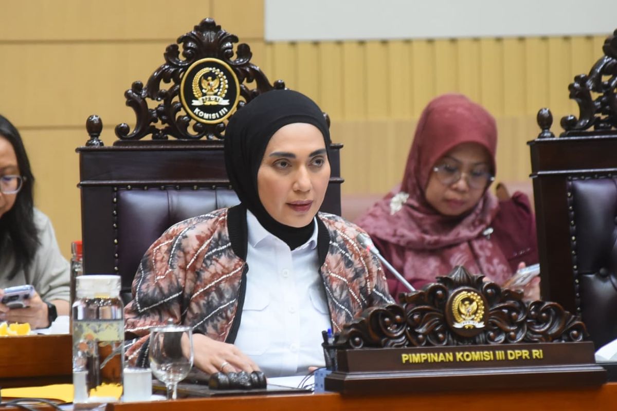 DPR: RUU Perampasan Aset demi perkuat penegakan hukum