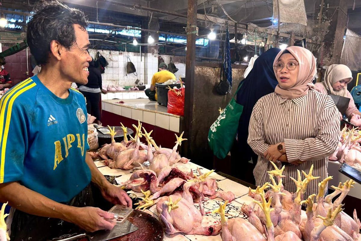 Kementan: Harga daging, telur di Pasar Kemiri Muka-Depok Jaya stabil