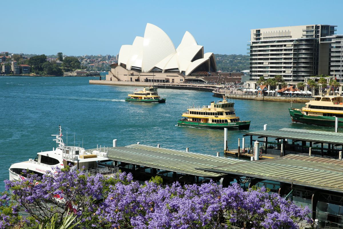 Queensland Utara hadapi risiko wabah yang ditularkan nyamuk