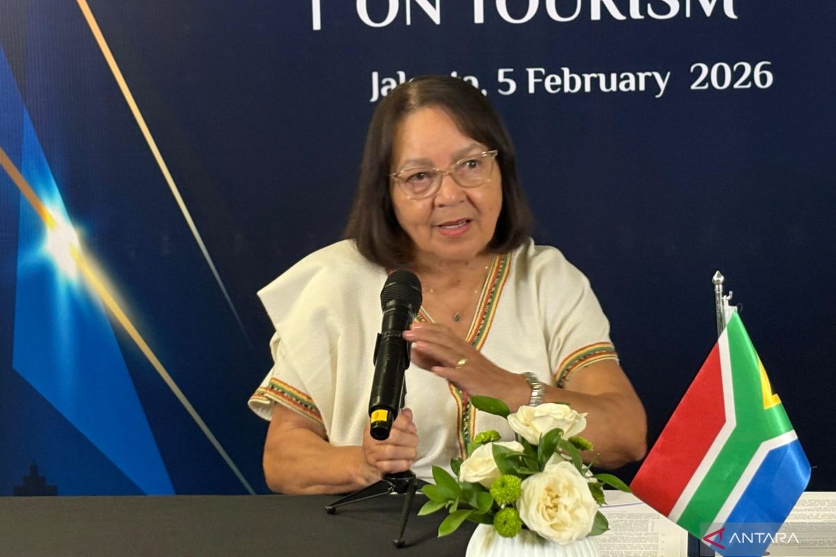 Menpar Afrika Selatan ingin RI buka banyak penerbangan antar 2 negara