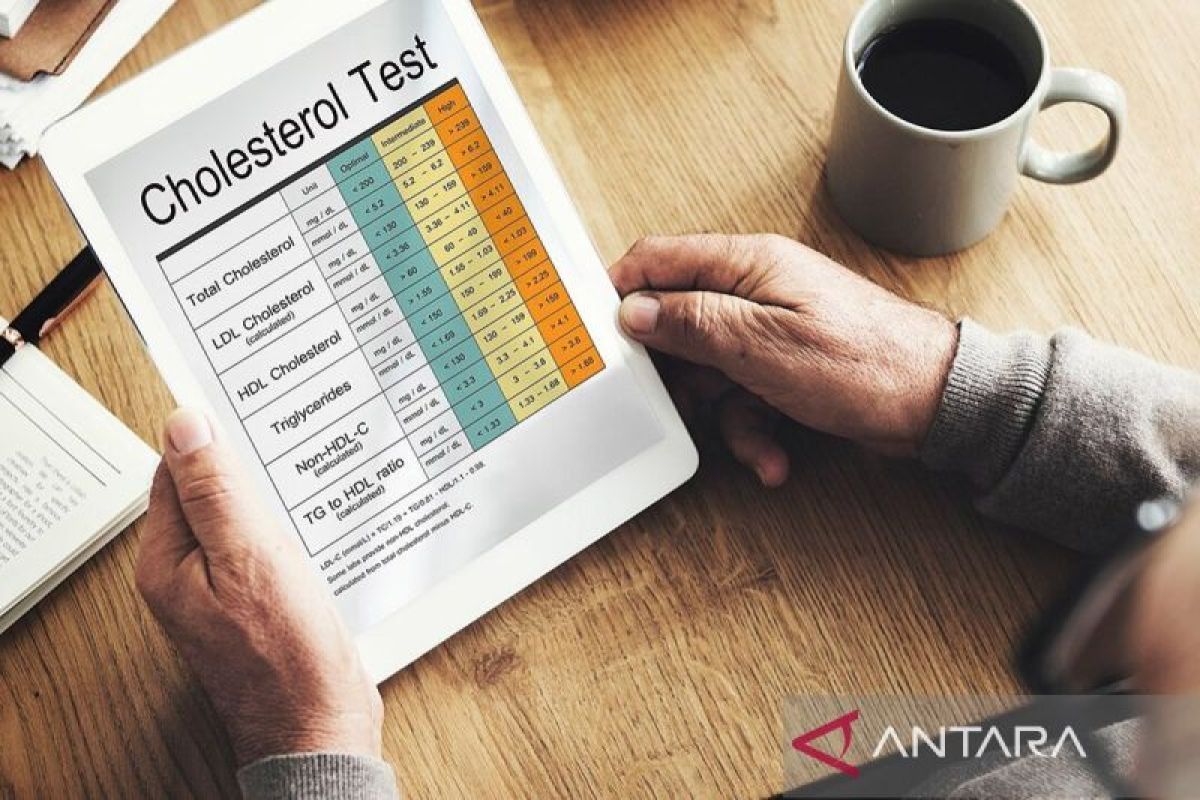 Beberapa kebiasaan yang mampu menekan kadar kolesterol tinggi