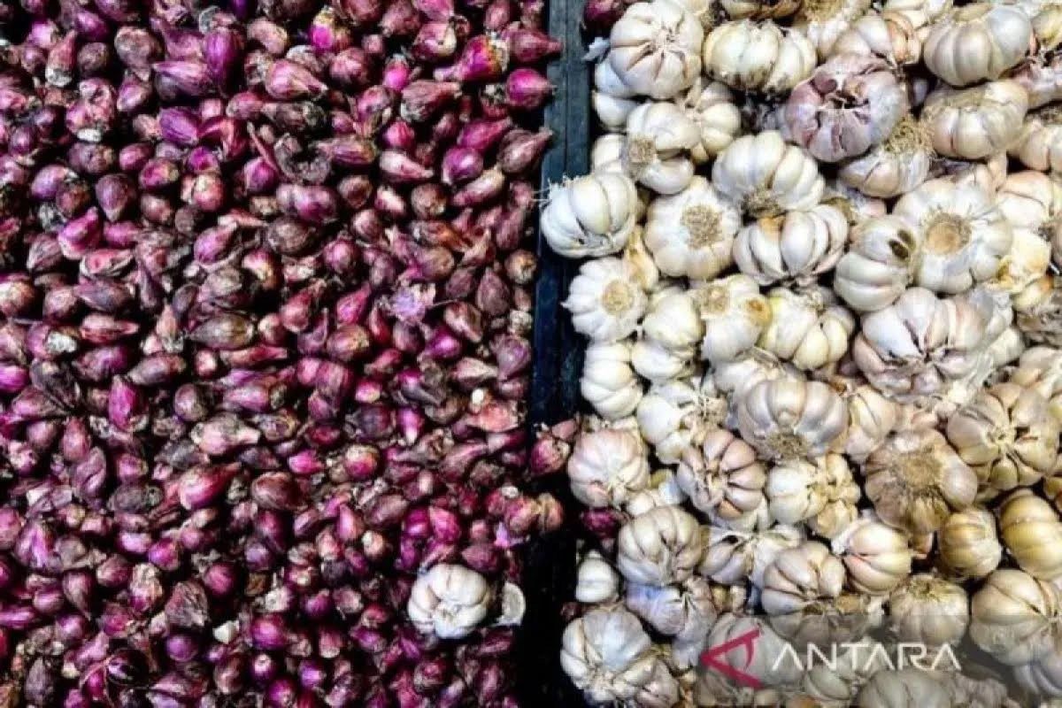 PIHPS: Harga bawang merah Rp44.350/kg, cabai rawit merah Rp76.500/kg