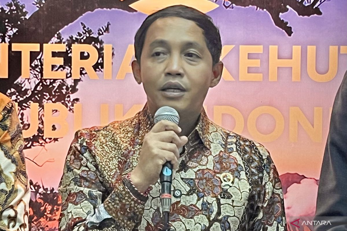 Gajah mati di Riau, Menhut: Tiada ampun bagi pembunuhan satwa langka