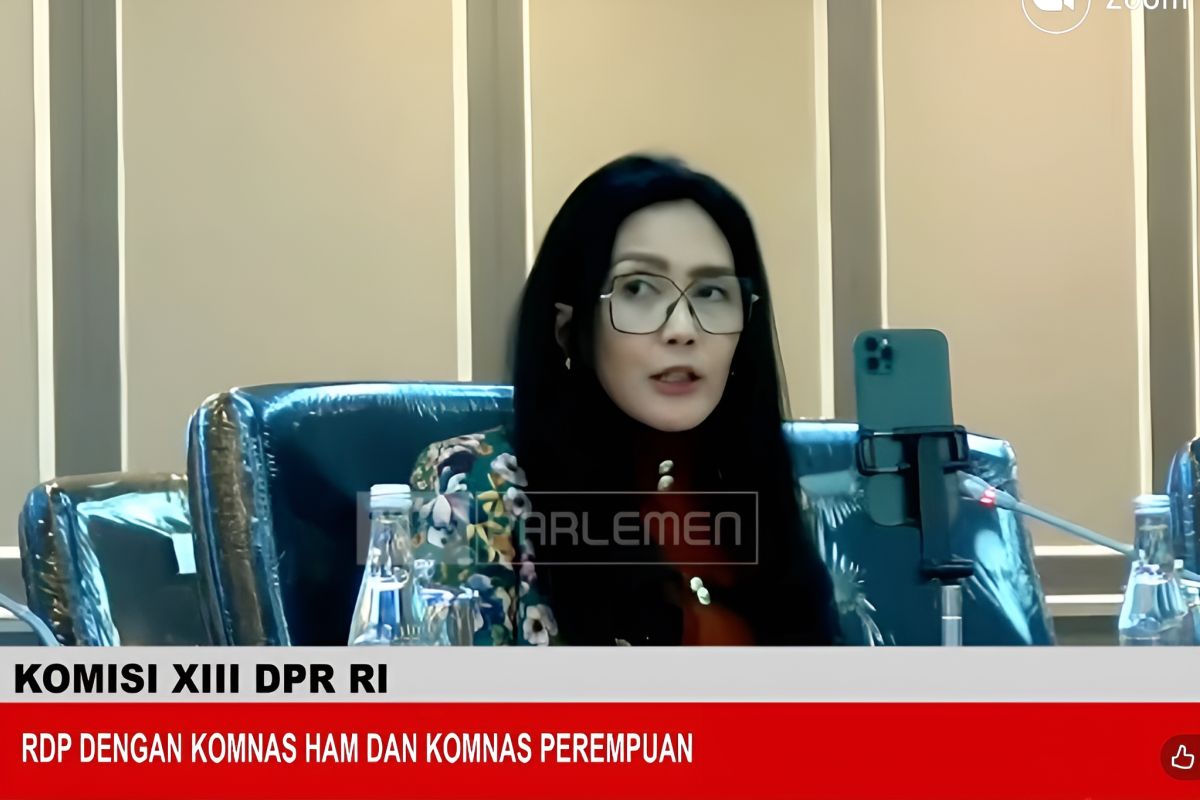 Komisi XIII DPR RI akan RDPU terkait "child grooming"