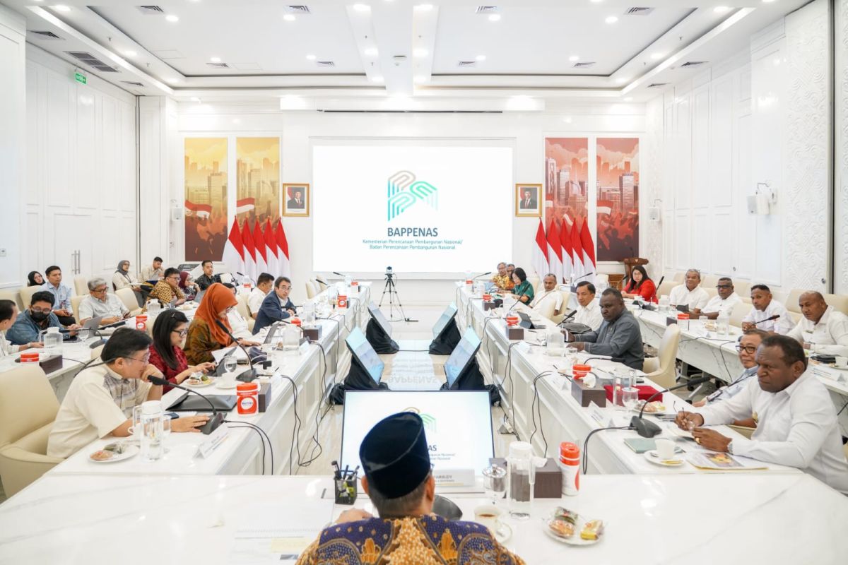 Bappenas: Percepatan pembangunan infrastruktur di Papua jadi prioritas