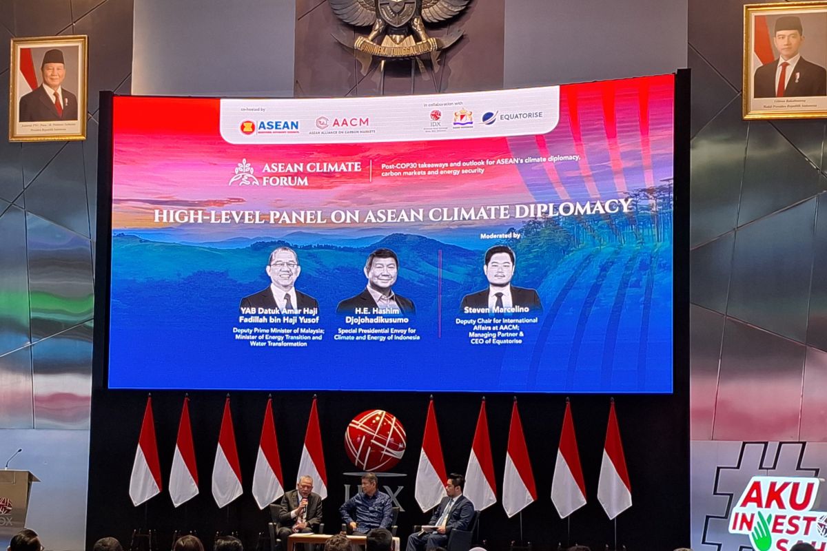 Hashim wanti-wanti otoritas pasar modal diawasi ketat pemerintah