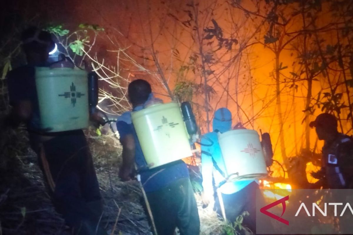 Pemkab Parigi kerahkan dua unit damkar tangani karhutla di Donggulu