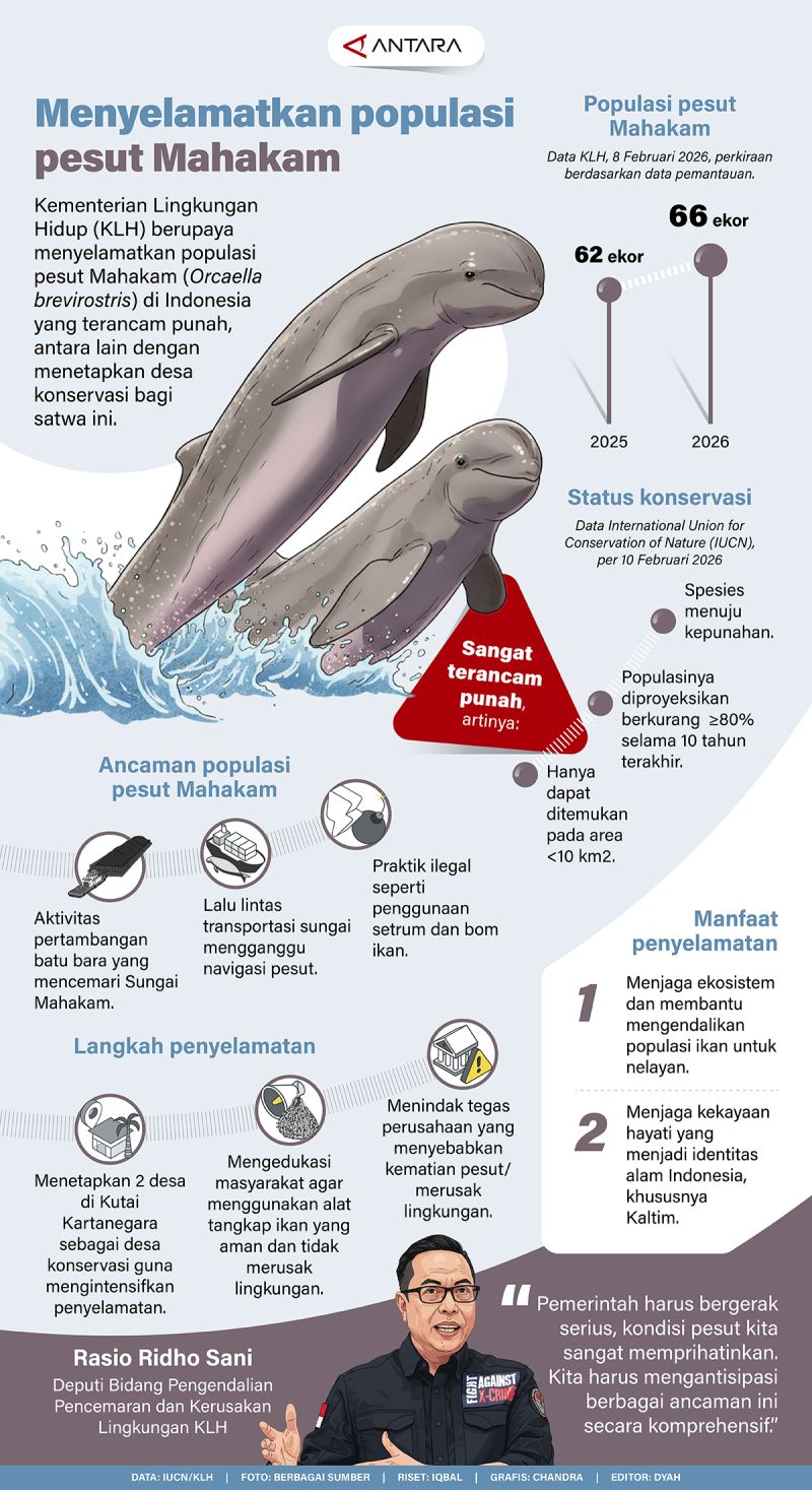 Menyelamatkan populasi pesut Mahakam