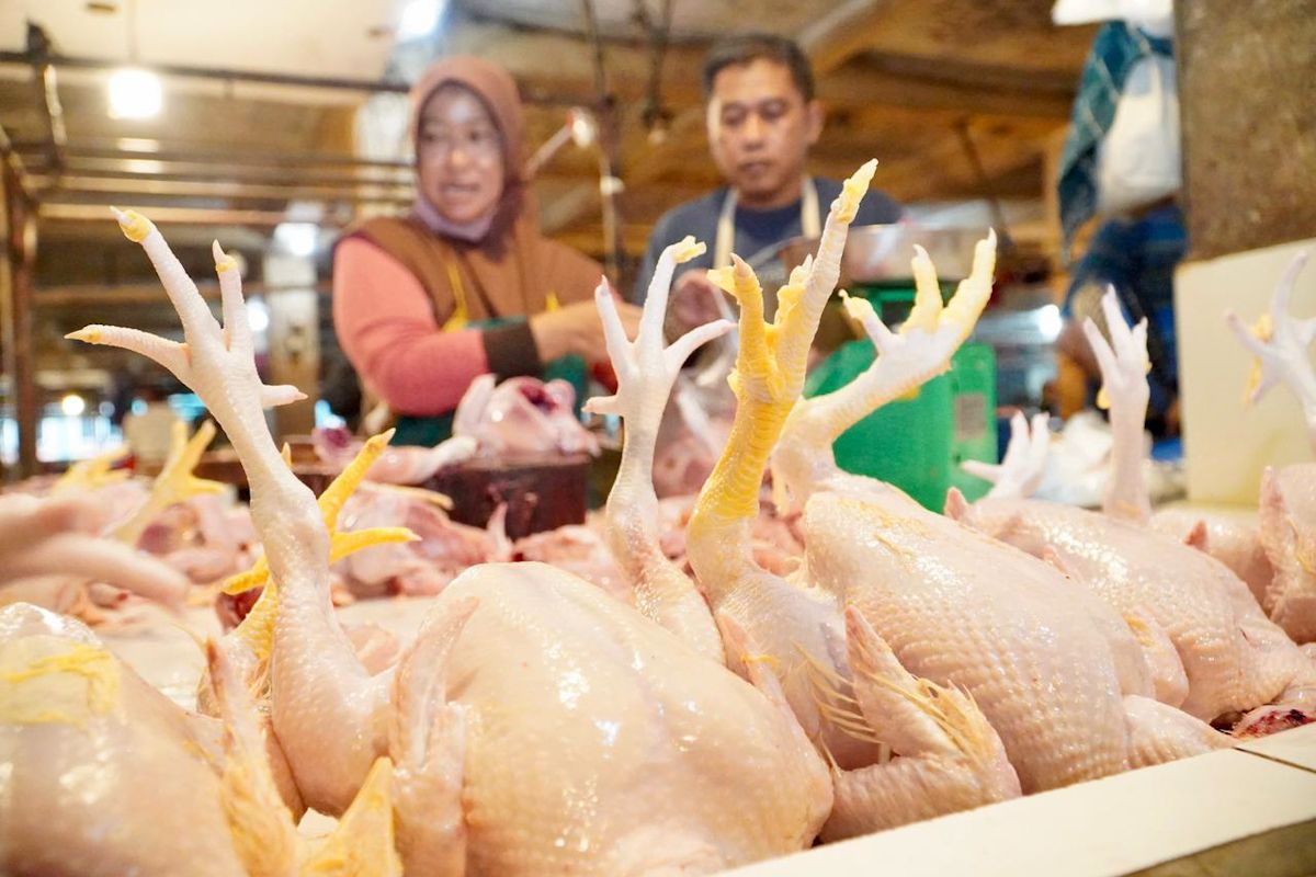 Bapanas pastikan harga daging ayam dan cabai di Pasar Cileungsi stabil