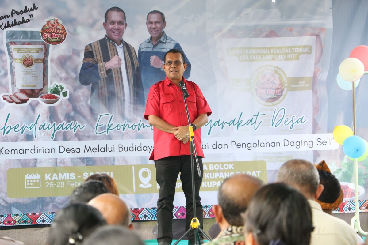 Gubernur NTT dorong desa olah produk unggulan