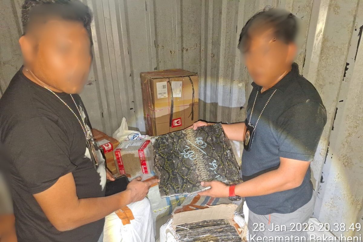 TNI AL gagalkan penyelundupan kulit ular piton dan kura-kura ilegal