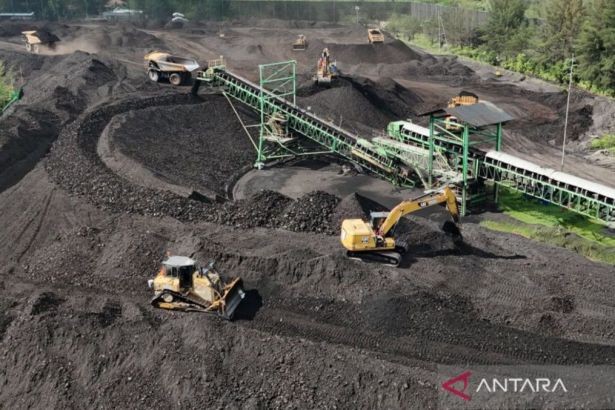 IMA harap pemerintah naikkan kuota produksi batu bara dan nikel