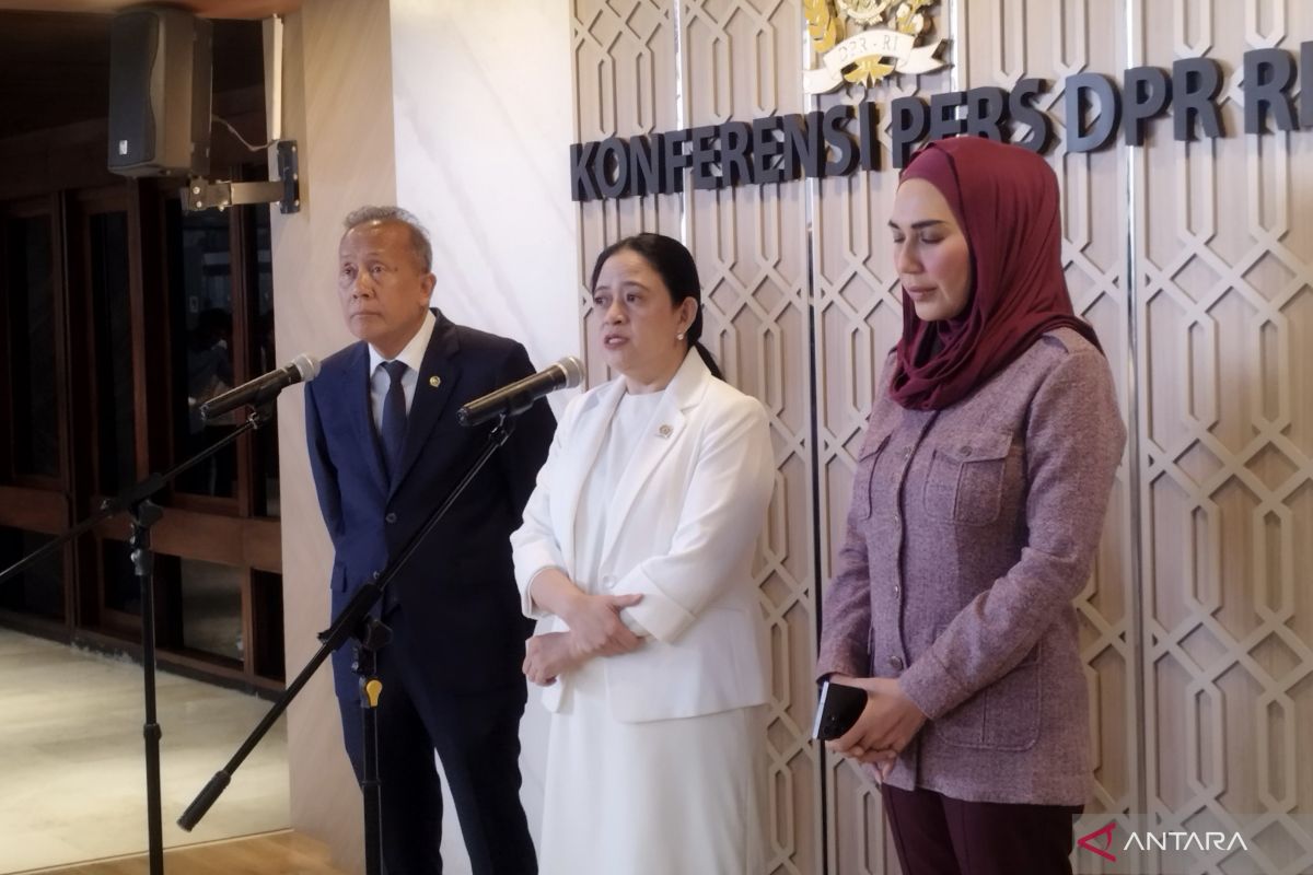 Ketua DPR dukung pemerintah batasi medsos bagi anak