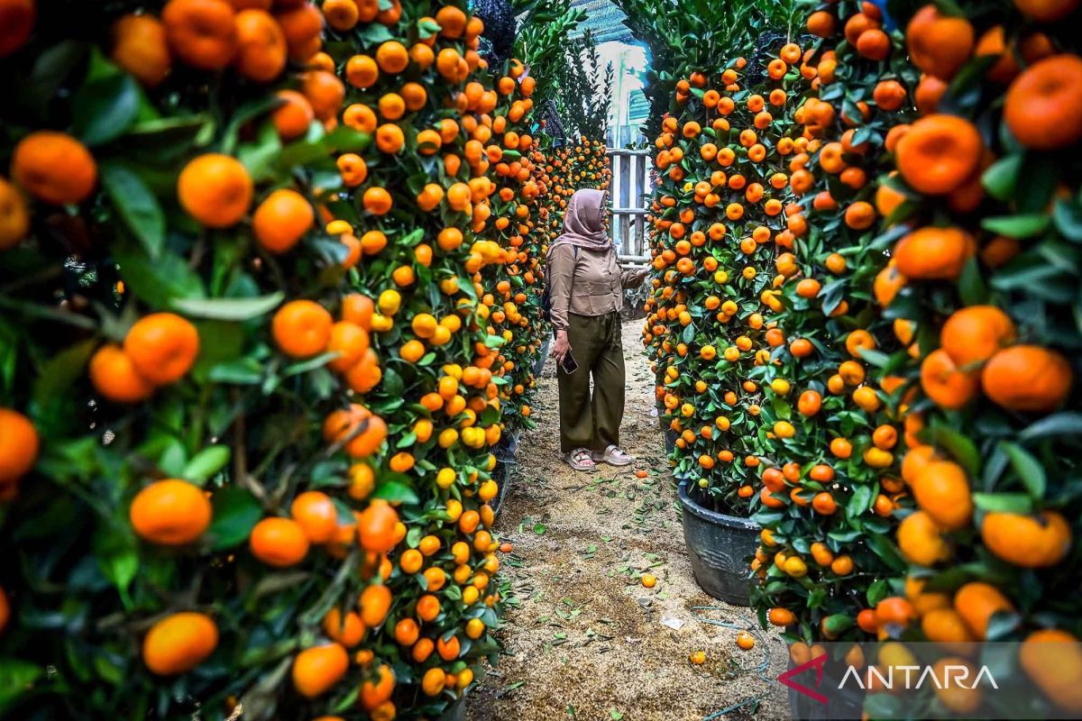 Momentum Imlek dan Ramadhan bisa mendorong konsumsi masyarakat