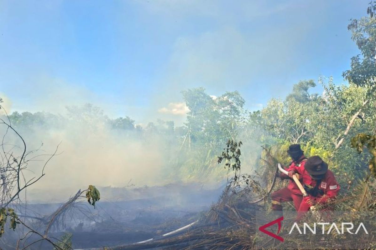 Tim gabungan masih berjibaku padamkan karhutla di lima daerah di Riau