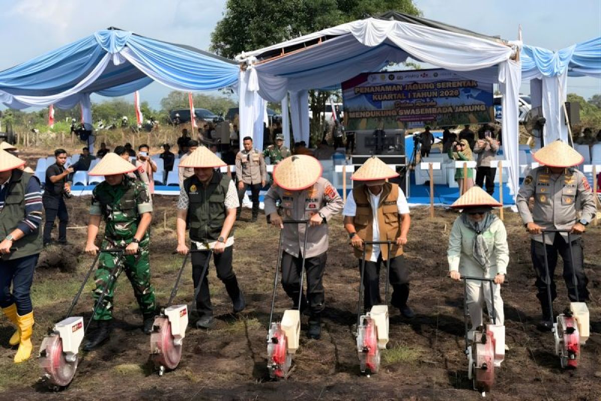 Kolaborasi hidupkan lahan tidur 30 tahun demi kawal swasembada jagung