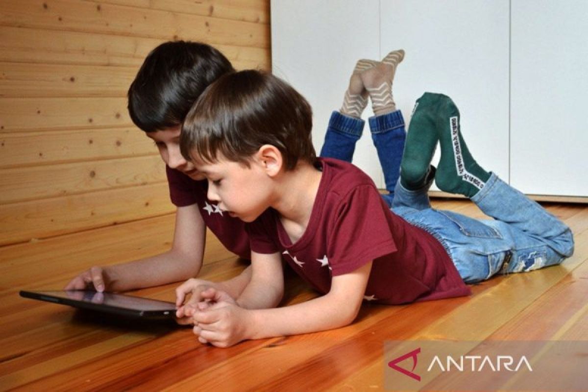 BPKN dukung kebijakan pembatasan media sosial anak-anak