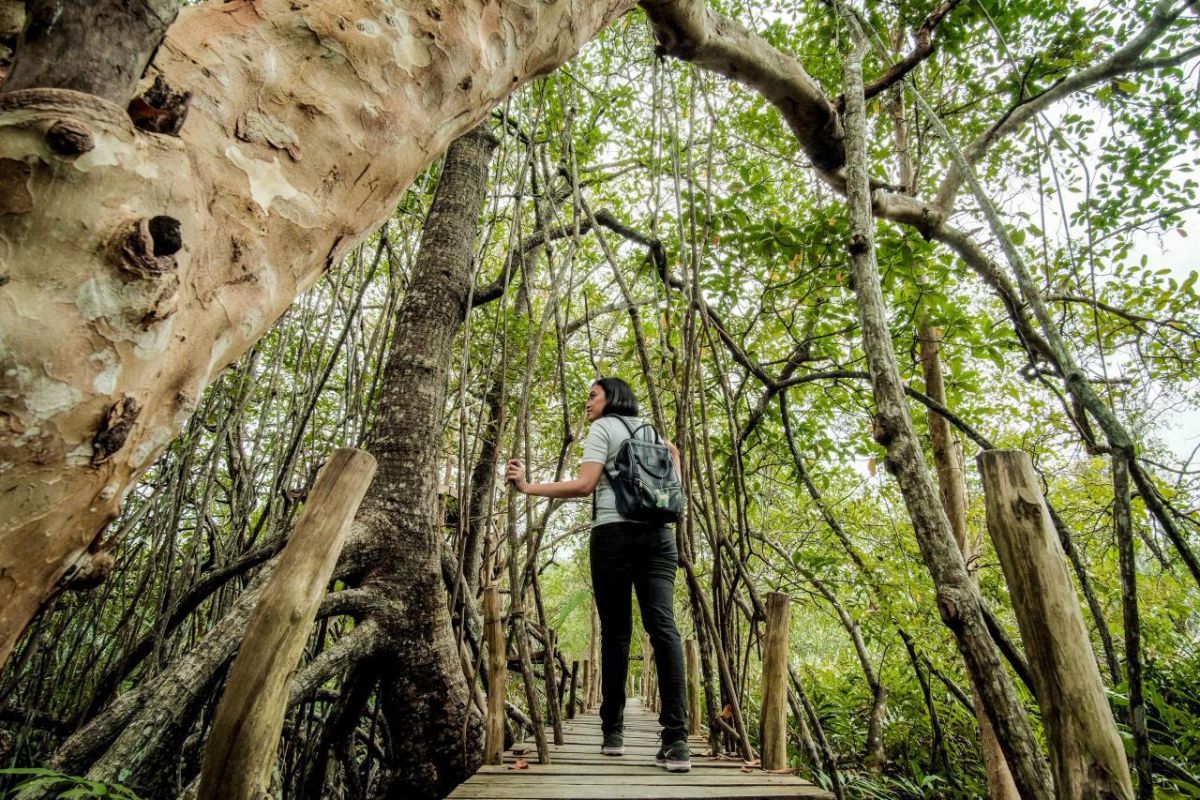 Kemenpar tekankan pentingnya sertifikasi bagi industri pariwisata