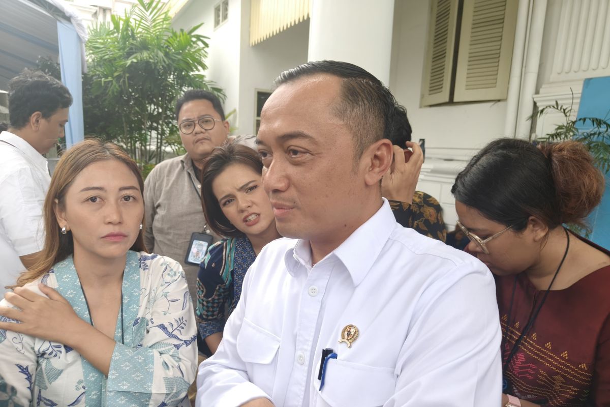 Istana: Penghapusan tunggakan BPJS tak perlu tunggu Perpres