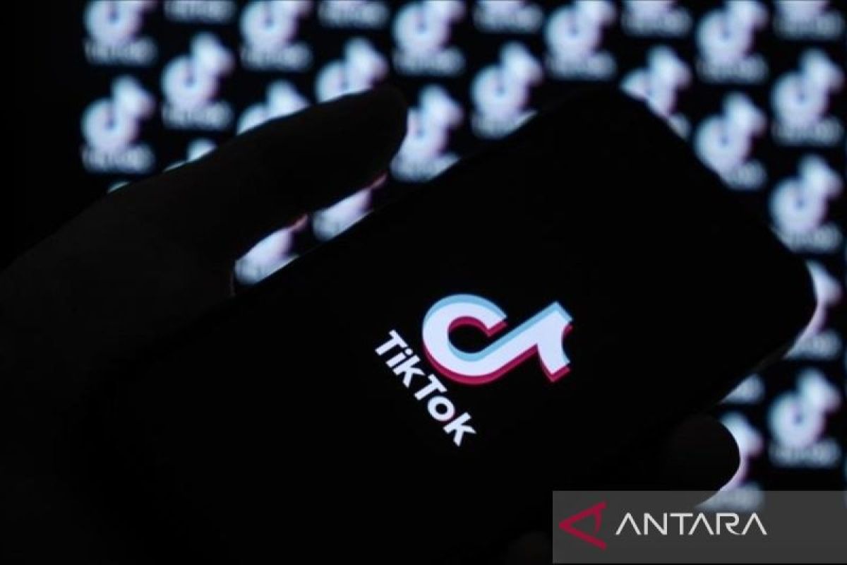 TikTok tak akan tambah enkripsi "end-to-end" di fitur DM