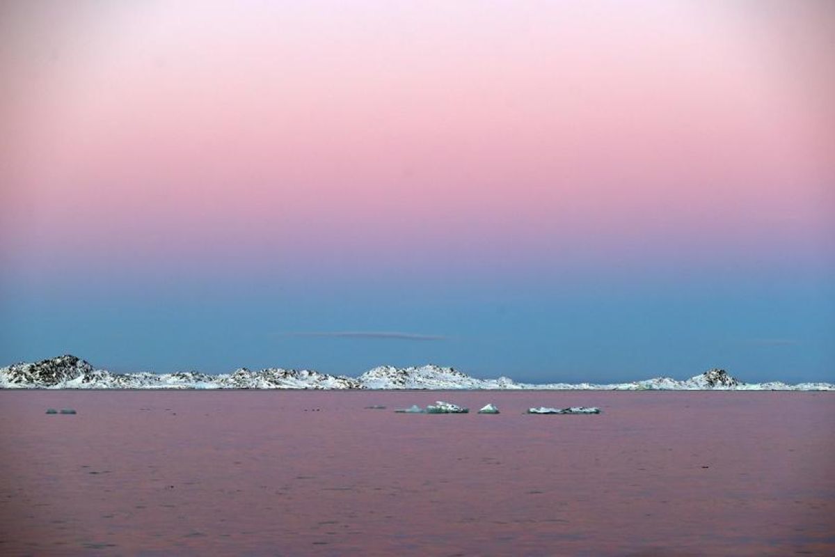 Pemimpin Greenland tolak ide Trump kirim kapal rumah sakit AS