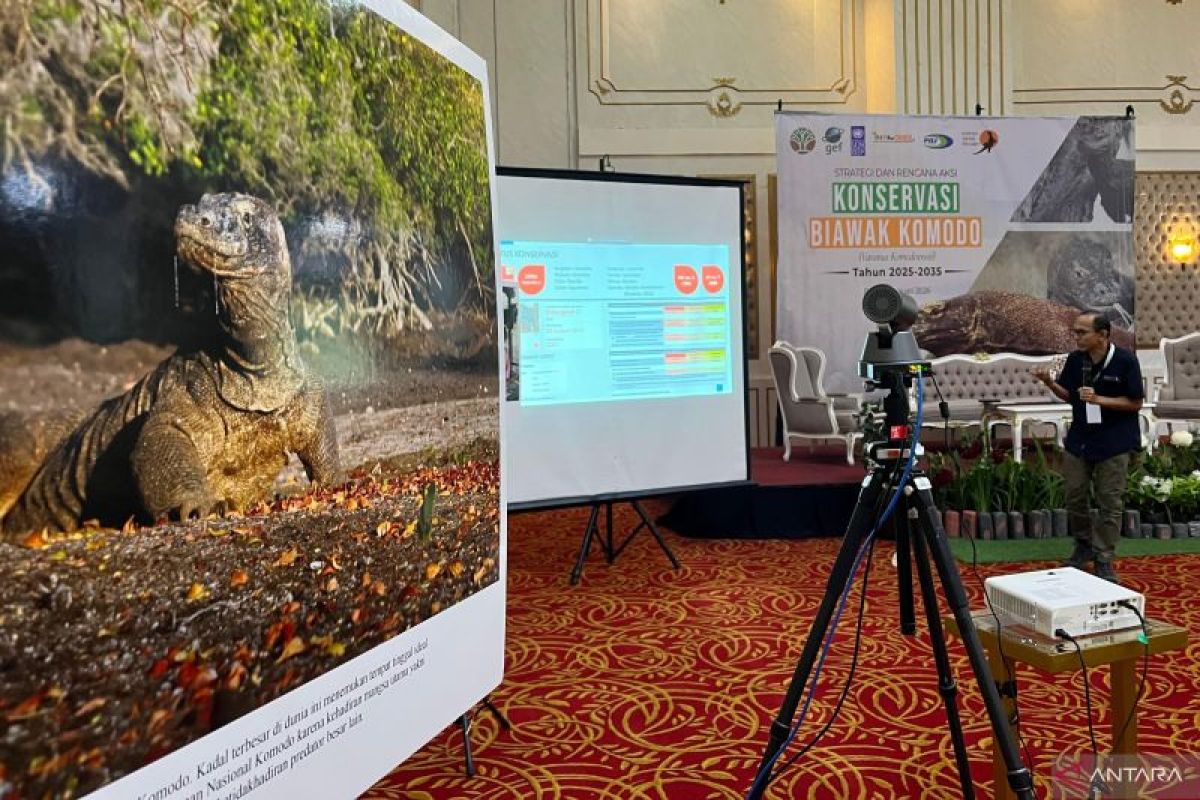 Kemenhut susun strategi konservasi komodo hingga 2035